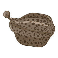 Marble Ray. Torpedo Marmorata Vector Cartoon Illustration. © nikiteev