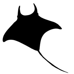 Black Silhouette Manta Ray Numb-fish Vector © nikiteev