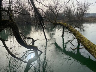 Reuss River before Lake Flachsee and in natural protection zone Aargau Reuss river plain...