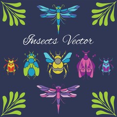 Set of colorful insects on a dark background