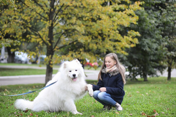 Lovely girl on a walk with a beautiful dog