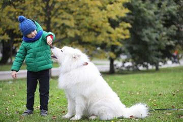 Lovely girl on a walk with a beautiful dog