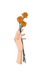 Beautiful female hand holding a bouquet of yellow flowers. Illustration on white isolated background 