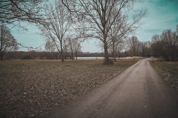 Fototapeta premium road in the morning