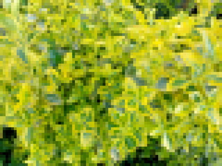 abstract background with squares. Cool festive pixel backdrop in light green tones. Modern art design for summer decor. Fresh abstract colorful texture great for interesting  layout of postcard.