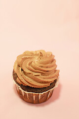 Obraz na płótnie Canvas Homemade chocolate cupcake with butter cream and cocoa.