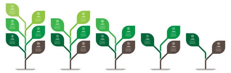 Foto op Canvas Business presentation with 5 steps or processes. Info graphic. Vertical infographics or time lines with 2, 3, 4, 5, 6 parts. Stylized trees with leaves. Development and growth of the green technology. © Boris Znaev