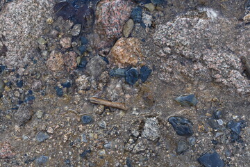 water texture. backgrounds. national park harz.
