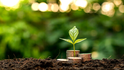 A seedling growing on a pile of coins has a natural backdrop, blurry green, money-saving ideas and economic growth. - obrazy, fototapety, plakaty
