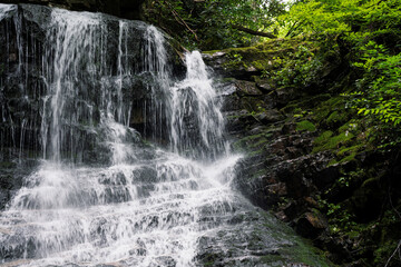 Fototapeta na wymiar Gently Flowing Mountain Waterfall