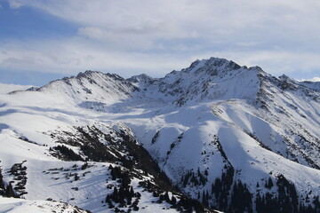 snow covered mountains