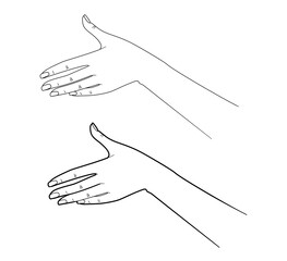 Gestures. Graceful hand of a woman. Graphic line drawing. Vector illustration.