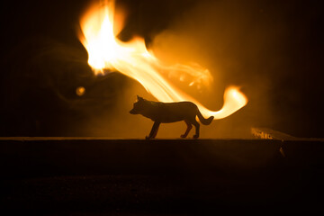 Silhouette of a wolf miniature standing at foggy night. Creative table decoration