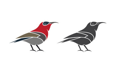 Vector of crimson sunbird design on white background. Easy editable layered vector illustration. Wild Animals.