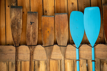 old paddles hung on the wall, oars
