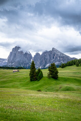 Fototapeta premium Typical scenic view in the italian alps - south tyrol