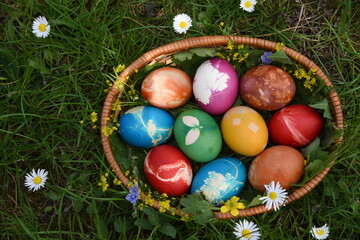 Easter eggs in the grass