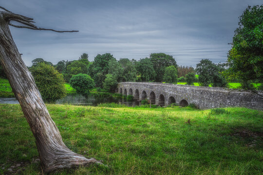 Old, 12th century stone arch Bective Bridge over Boyne River with large tree trunk surrounded by green fields and forest, Count Meath, Ireland