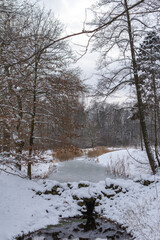 Winter park landscape