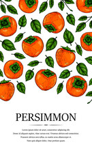 Hand drawn colorful persimmon vertical design. Vector illustration in colored sketch style.