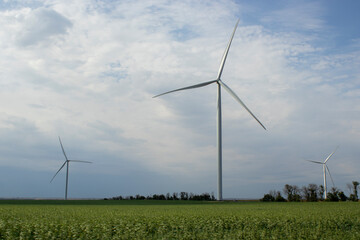 wind turbine in the field