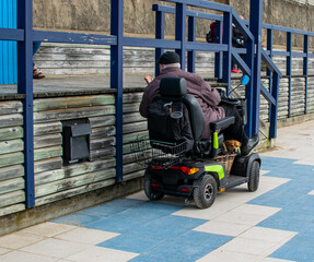 Vendee, France; October 8, 2021: A cute little dog poses underneath the wheelchair wisely watches its disabled master.