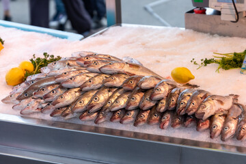 Etal de poissons au marché