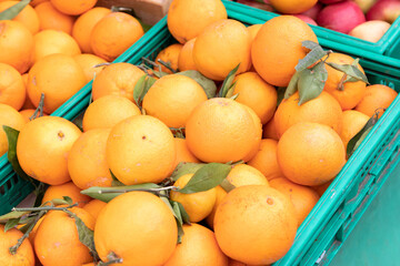 Etal de mandarines au marché