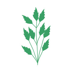 green plant design
