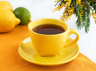Cup of coffee and vase with blooming branches of mimosa on a white background