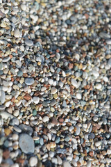 pebbles on the beach
