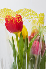 red and yellow tulips