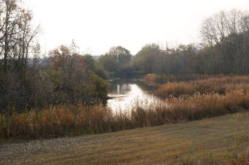landscape with pond