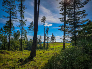 Smal trip in sunday to the poland bieszczady