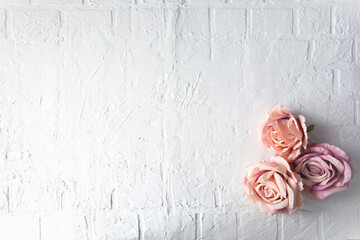 white brick vintage background with rose heads
