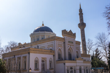 Fototapeta na wymiar Yildiz Hamidiye Mosque and its exterior view
