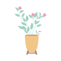 flowers plant pot