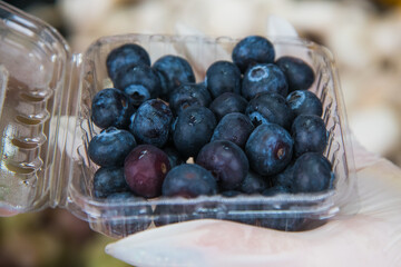 Blueberries in a plastic container