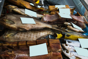Fish counter of the kiosk