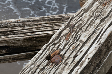 Punta Arenas no Chile.  Ruinas de trapiche.