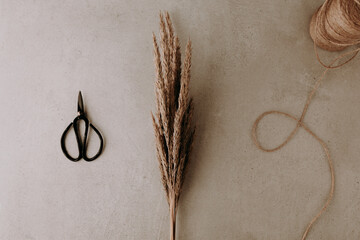 A bunch of dried grass tied with natural raffia and a black scissors and a roll of rope string on...