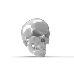 human skull on white background