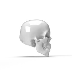 human skull on white background