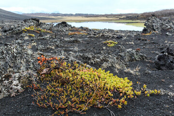 Landscape around Hverfjall crater in Myvatn