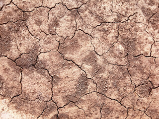 The ground has cracks in the top view for the background