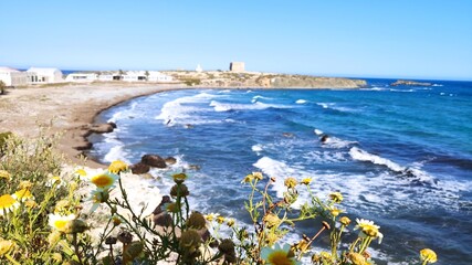 view of the coast of the sea