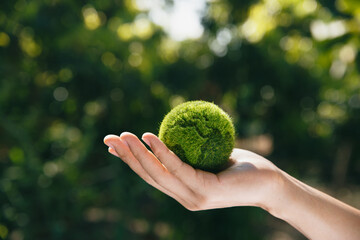 Hand of human holding earth at garden in morning, ecology and world sustainable environment concept.