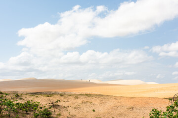 Fototapeta na wymiar Dunas de areia no deserto