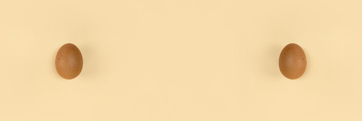 Brown egg on beige backdrop. Wide banner with copy space.