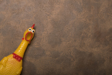 Shrilling Chicken squeaky toy . toy rubber shriek yellow chicken isolated on brown background
